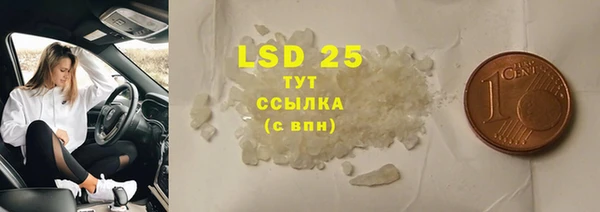 прущие грибы Алексеевка