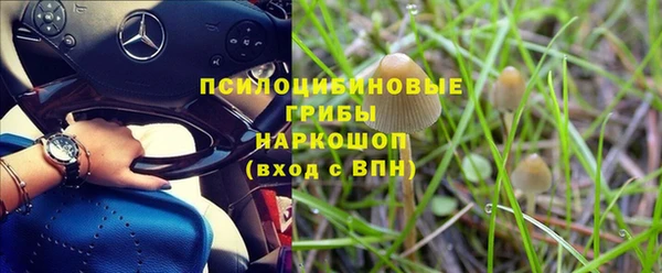 прущие грибы Алексеевка