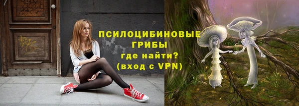 экстази Алексин