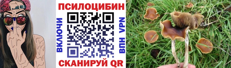 Галлюциногенные грибы MAGIC MUSHROOMS кракен сайт Тольятти