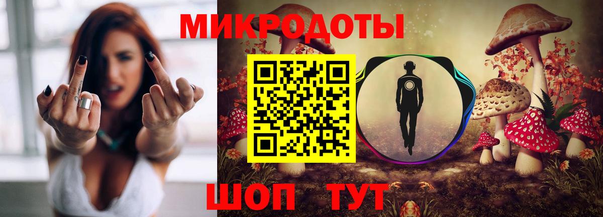 Тольятти  Галлюциногенные грибы прущие грибы  Вход с VPN 